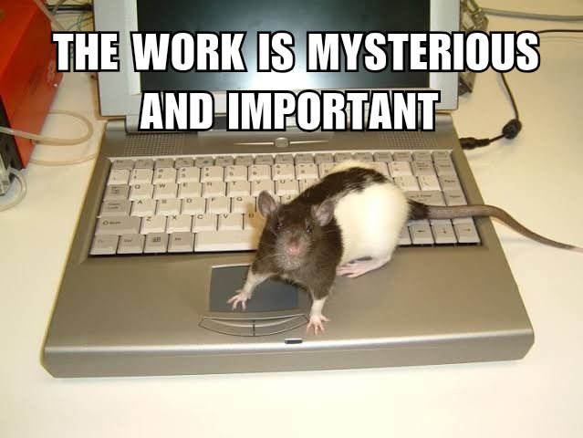 A black and white hooded rat looks at you, sitting atop and old chunky laptop. The caption says: the work is mysterious and important. Edit by me.