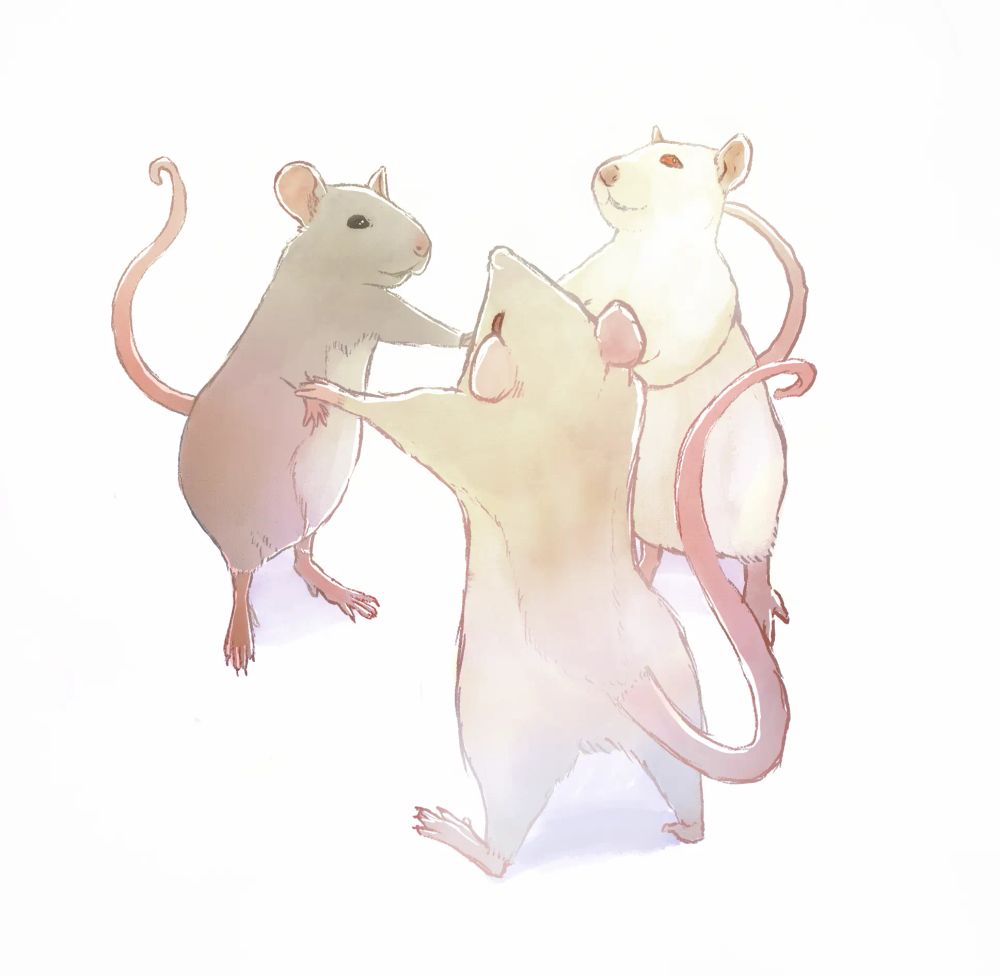 Coloured illustration of three rats standing upright and holding hands - Morgana (grey berkshire), Beemo (beige) and Cruskit (albino). I miss you girls.