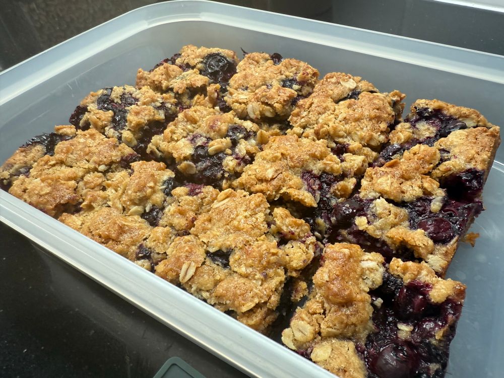 A rectangular Tupperware container filled with a dozen square bar cookies. The bars are golden brown, filled with fresh blueberries, and the topping and crust contain rolled oats. 