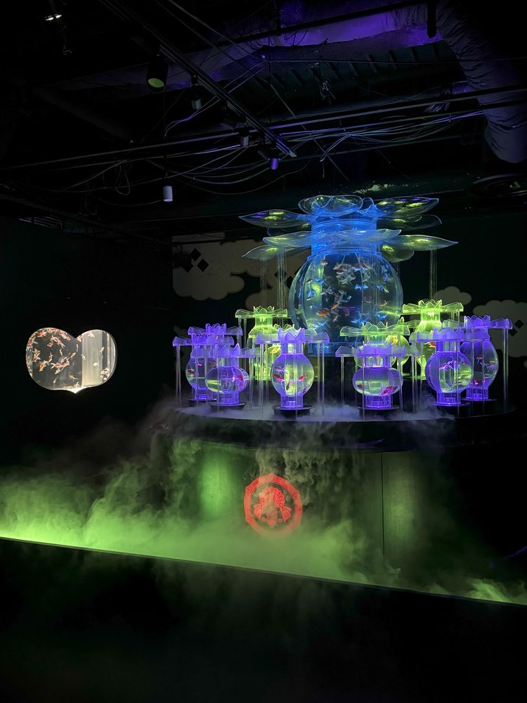 A picture of the Art Aquarium in the Ginza Ward of Tokyo. This exhibit featured multiple tanks set up with unique lighting, fog effects, inventive designs, or just wild-looking fish and was a major highlight of the entire trip. It was not on the "to see" list before heading out but was a VERY cool stop to make.