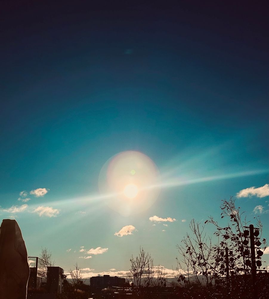Picture of sun in blue sky with a few clouds on the side and under it
Sunbeams projecting out of the middle in a cross pattern and the sun itself is surrounded by a solid white halo

There are leafless trees on our right and one in the middle 