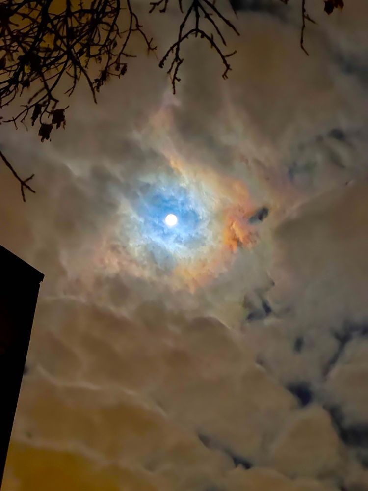 Cloudy night sky with full moon peeking through 
Very small slice of building on our left and branch with some leaves on top of the photo 