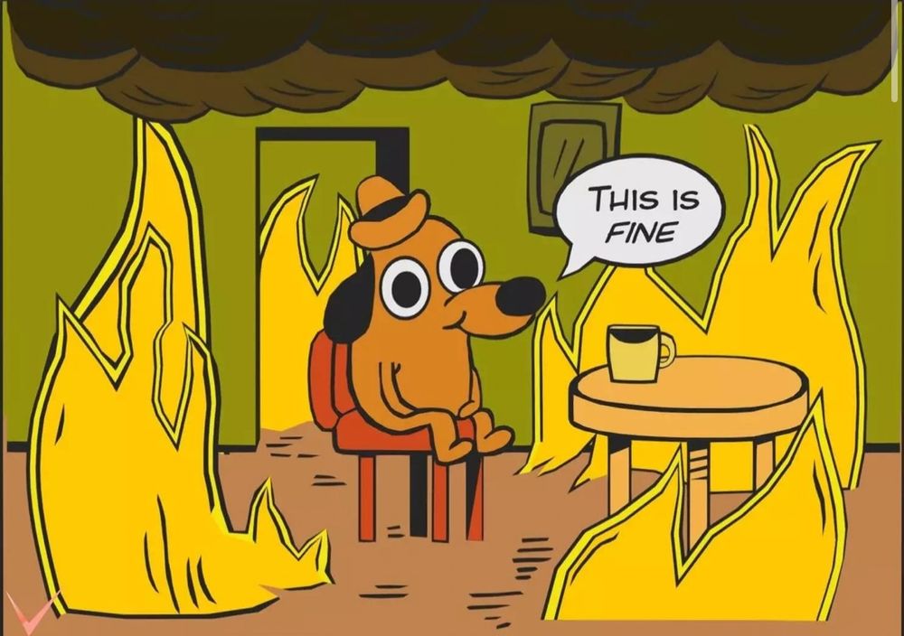 The “this is fine” meme with a cartoon dog just chillin while all of his surroundings burn down
