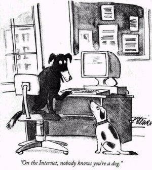 "On the Internet, nobody knows you're a dog" a caption to a cartoon drawn by Peter Steiner, published in the July 5, 1993 issue of the American magazine The New Yorker. The words are those of a large dog sitting on a chair at a desk, with a paw on the keyboard of the computer, speaking to a smaller dog sitting on the floor nearby.