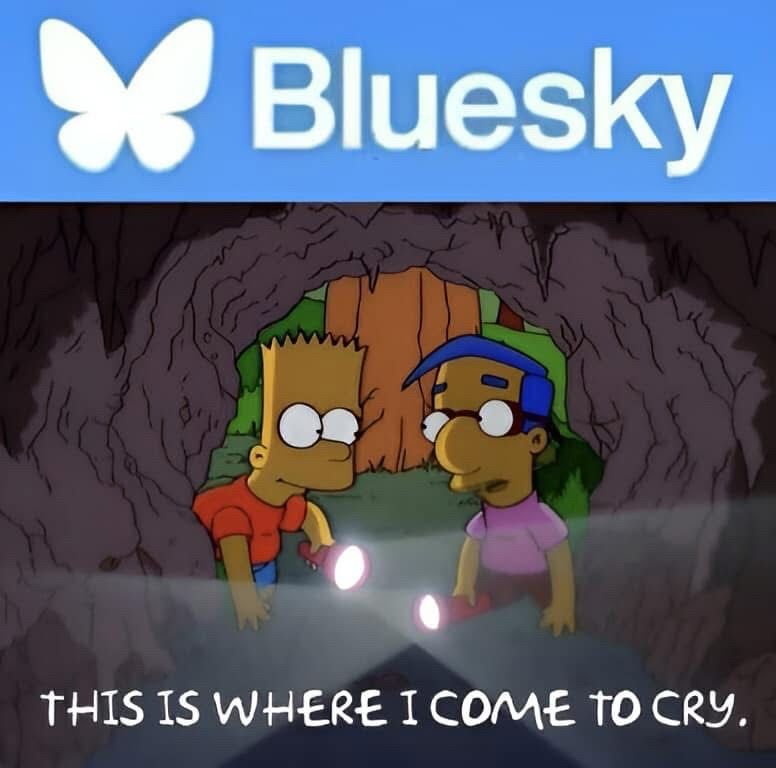 Meme with a Bluesky logo on top & underneath it’s Milhouse showing Bart a cave saying “this is where i come to cry”