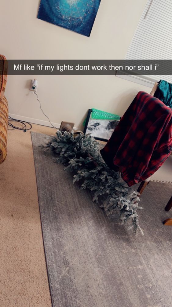 Xmas tree on the ground, still plugged in, says “mf like “if my lights dont work then nor shall i”.”