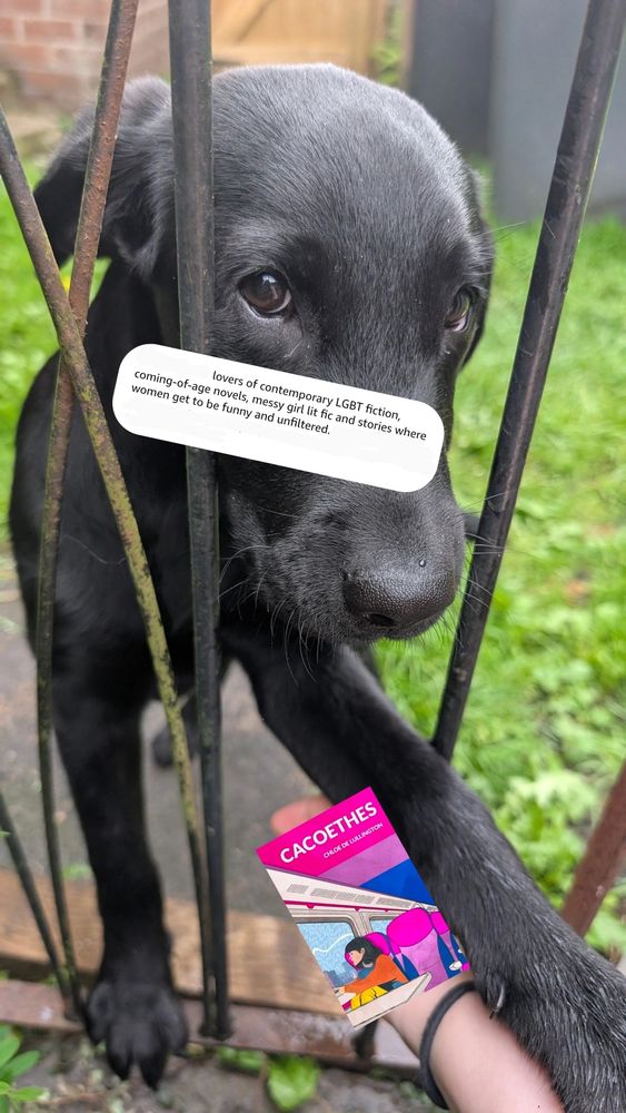 A black labrador reaching eagerly through a gate post for someone's hand. The hand has Cacoethes superimposed over it, and the dog's face has a review recommending Cacoethes for "lovers of contemporary LGBT fiction, coming-of-age novels, messy girl lit fic, and stories where women get to be funny and unfiltered".