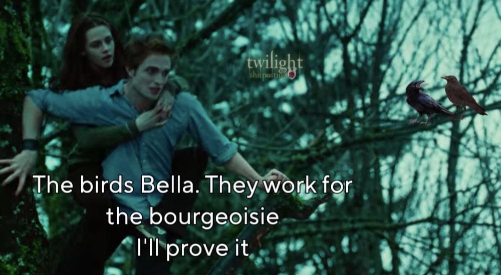 A still from the movie Twilight where Bella is being carried on Edward's back. There is a caption that is assumed to be Edward speaking that reads "The birds Bella. They work for the bourgeoisie I'll prove it."