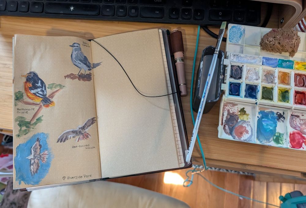 A craft paper notebook with one page covered in small gouache paintings of birds 