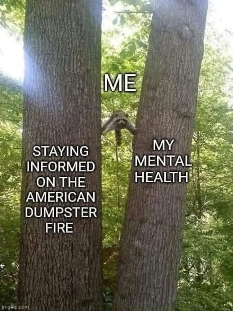 A raccoon is peeking between two large tree trunks in a forest. Text is overlaid on the image: the left tree is labeled “STAYING INFORMED ON THE AMERICAN DUMPSTER FIRE,” the right tree is labeled “MY MENTAL HEALTH,” and the raccoon in the middle is labeled “ME.” Sunlight filters through the green foliage in the background.