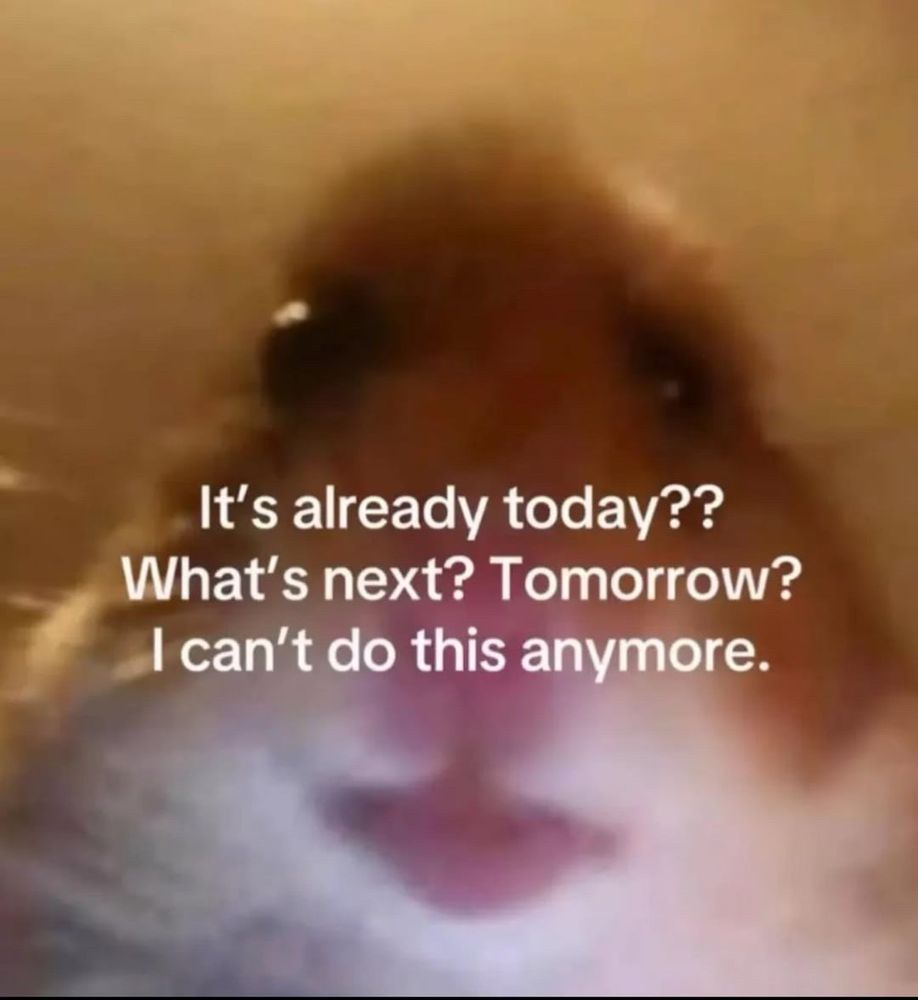 Close-up, low-angle photo of a hamster’s face with a slightly blurred and distorted perspective. The hamster’s nose and mouth are prominent in the foreground, with its eyes partially visible near the top. Overlaid white text reads: “It’s already today?? What’s next? Tomorrow? I can’t do this anymore.”