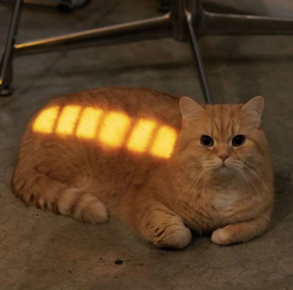 A chubby orange cat sits on a concrete floor with sunlight streaming through a window, creating bright rectangular patches across its back that look like a glowing battery charge indicator.