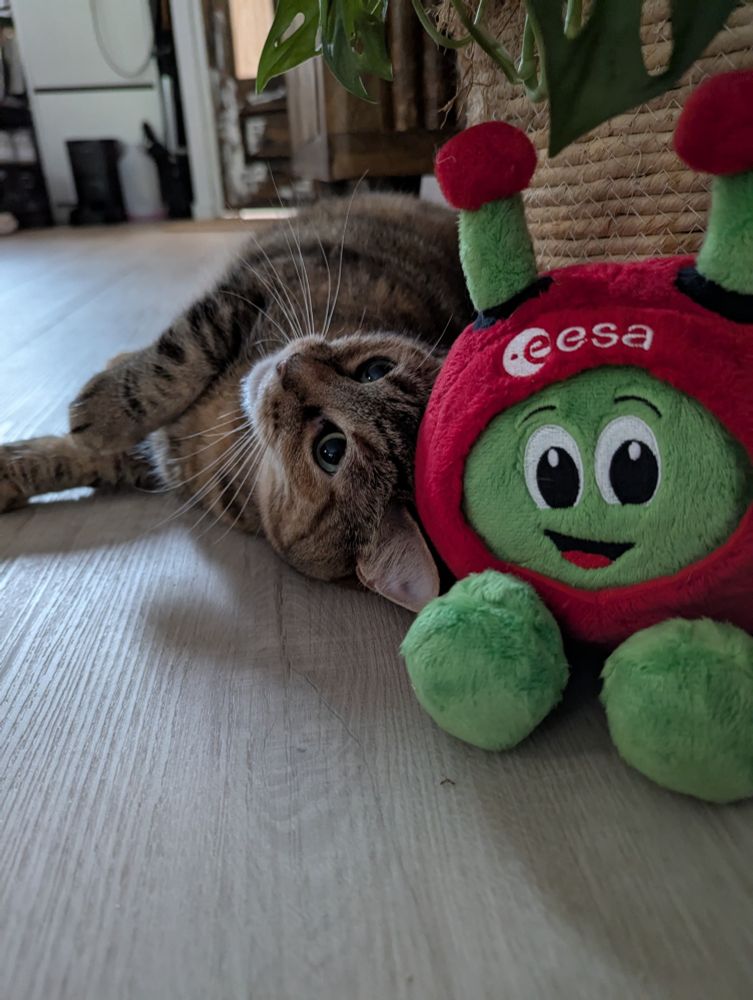 ESA Education mascot Paxi in a red ESA suit next to a beautiful tabby cat.