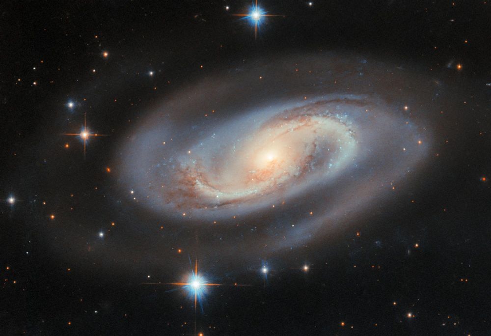 A spiral galaxy seen at an angle. The galaxy’s central disk is golden with a bright core. The galaxy has two spiral arms that curl out from the center. They start narrow but broaden as they wrap around the galaxy before merging into a faint halo. A swirl of dark dust strands and speckled blue star-forming regions follow the arms through the disk. The background of space is black, speckled with tiny stars and distant galaxies.