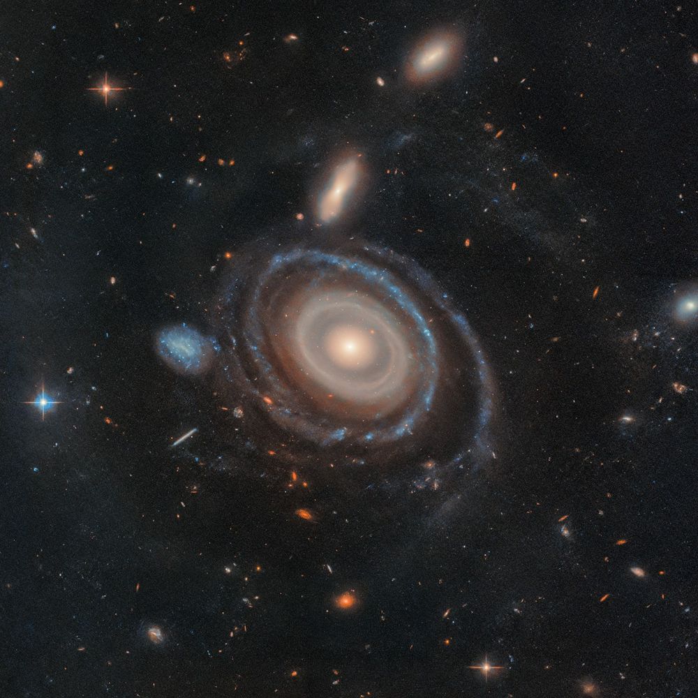 A large galaxy is at center, and a significantly smaller galaxy is to its left. The large galaxy, nicknamed the Bullseye, is mostly face-on, but the top appears slightly tilted away. It has several rings. Its circular core is bright white at the very center, but light yellow overall. Going outward, there are gaps between the rings. The core is surrounded by two slightly lighter yellow rings, which also appear to be overlapping. The next ring is slightly more transparent and yellow. The two or three rings that are farther out are bluer, sometimes with blue clumps. The widest ring is also blue, but also the most transparent. At 9 o’clock is a small dwarf galaxy. It is about the same size as the yellow core of the Bullseye. The dwarf galaxy is blue, with many dots. It looks like the edge of the Bullseye might touch the dwarf galaxy. Both galaxies are set on the black background of space, which is dotted with a range of galaxies in different shapes, colors, and sizes.