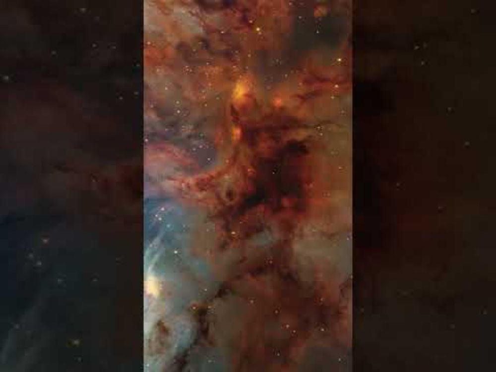 Cat's Paw Nebula - James Webb Space Telescope #shorts