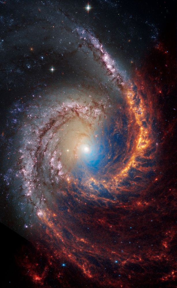 Two observations of the galaxy NGC 1566 are split diagonally, with Hubble’s observations at top left and Webb’s at bottom right. The galaxy’s core appears centered and the galaxy’s arms rotate counterclockwise. In Hubble’s image, two prominent spiral arms are a mix of dark brown dust lanes and some bright blue and pink star clusters, and the center is pale yellow. In Webb’s image, the spiral arms are shades of orange, with prominent dark gray or black “bubbles,” and there is a blue haze surrounding the core.