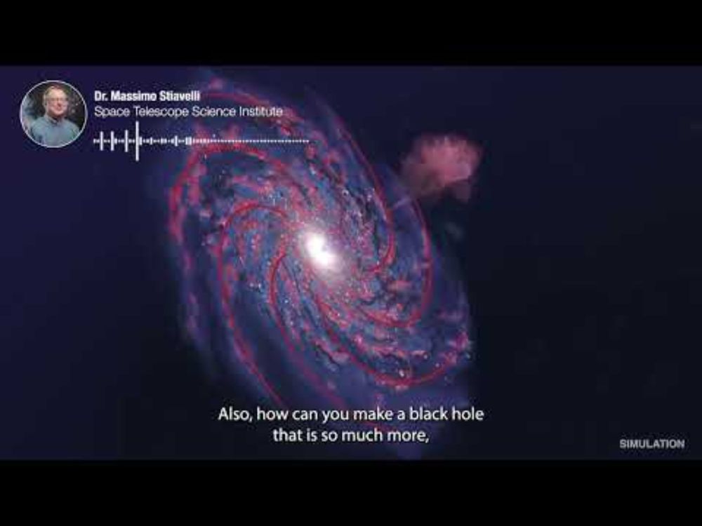 The James Webb Space Telescope Reveals the Early Universe