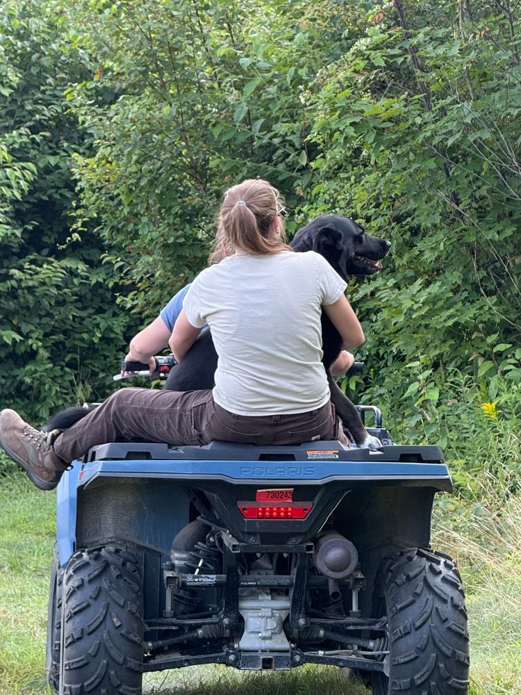 The bestest doggo going for a ride. 