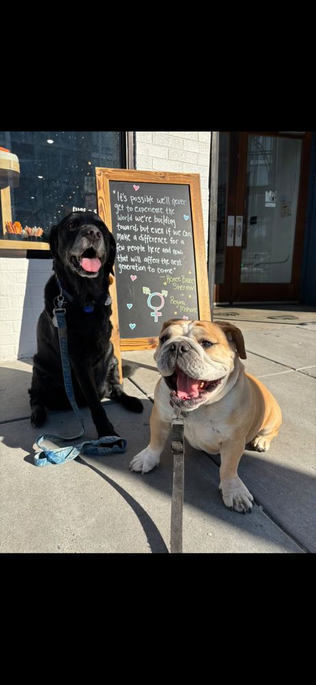 Two adorable dogs in front of a chalkboard with a quote from the book “Liberating Abortion”- “It’s possible we’ll never get to experience the world we’re building toward but even if we can make a difference for a few people here and now, that will affect the next generation to come.” 