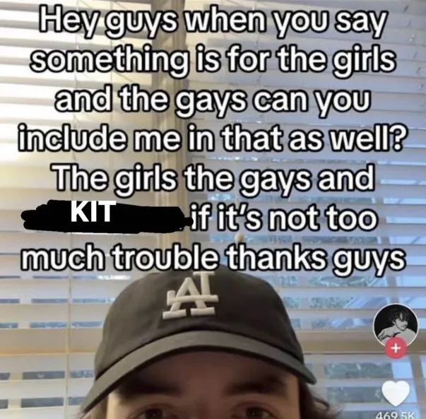 Tiktok captioned: Hey guys when you say something is for the girls and the gays can you include me in that as well? The girls the gays and Kit if it's not too much trouble thanks guys