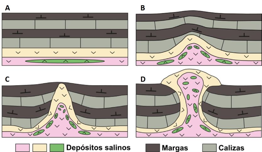 Formación de un domo salino debido a la diferencia de densidades de los materiales geológicos. Ilustración: Blanca María Martínez.