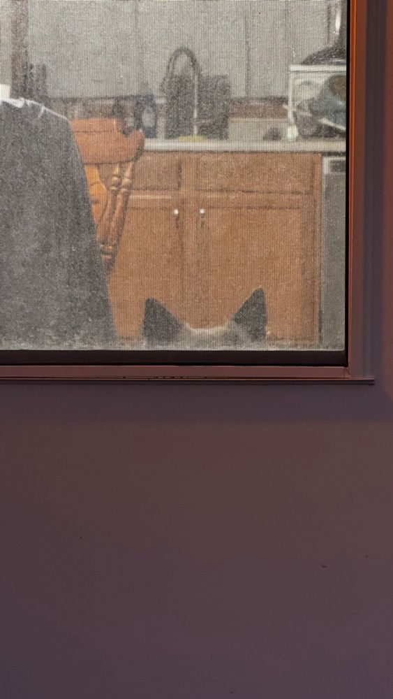 Piper’s ears visible through the storm window. 