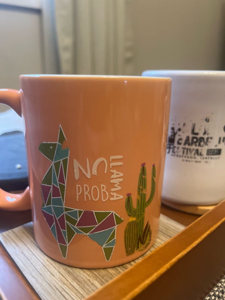 A mug which says no probllama, and has an illustration of a 🦙