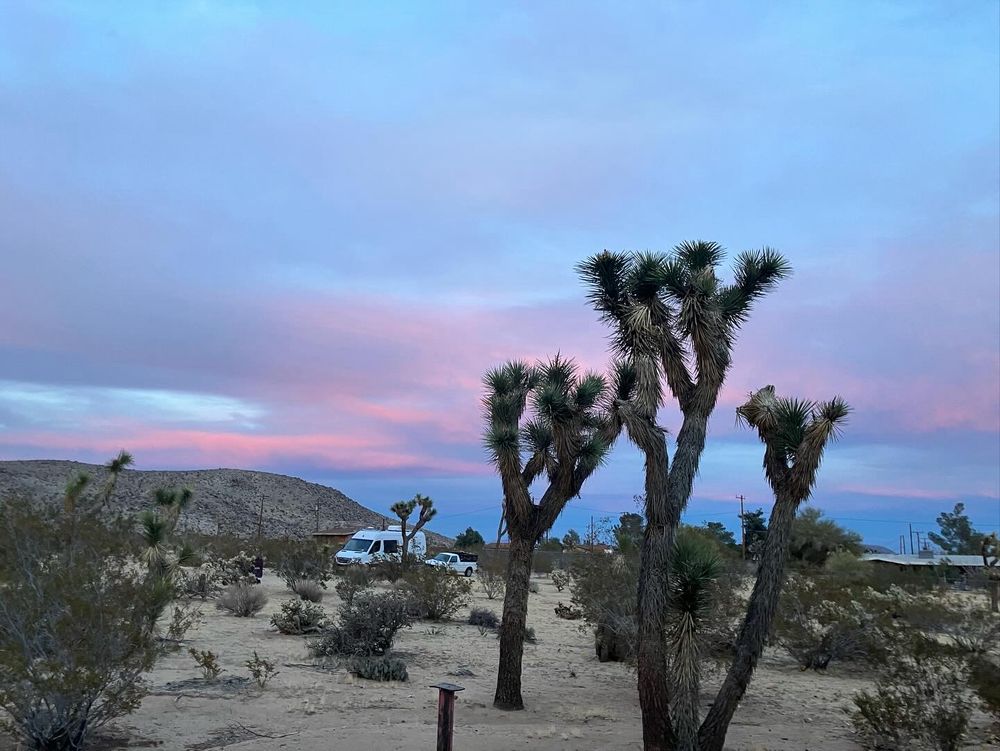 Joshua Tree, California 
