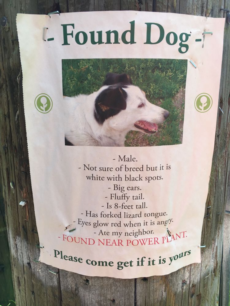 flyer of missing dog