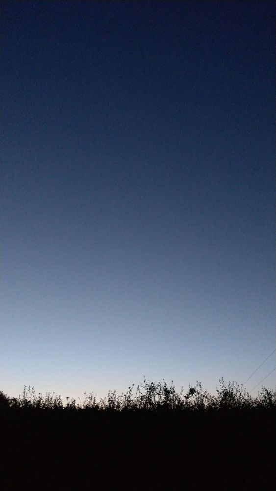 An Irish evening sky in mid-September, with a black silhouette hedge as the horizon and the sky colour above darkening upwards from skimmed-milk blue-white to a deep indigo blue.