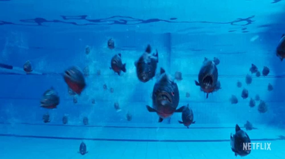 a bunch of fish are swimming in a pool with a netflix logo on the bottom