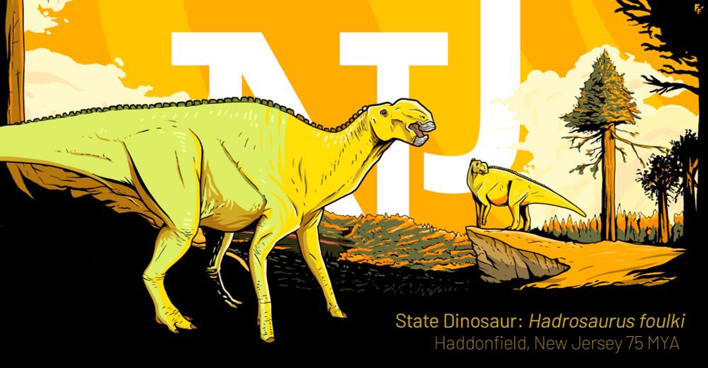 Hadrosaurus posed in front of a large NJ label. The state dinosaur of New Jersey, these large animals had dainty forelimbs and thick beaks. They could likely move on their hindlimbs only to some degree.