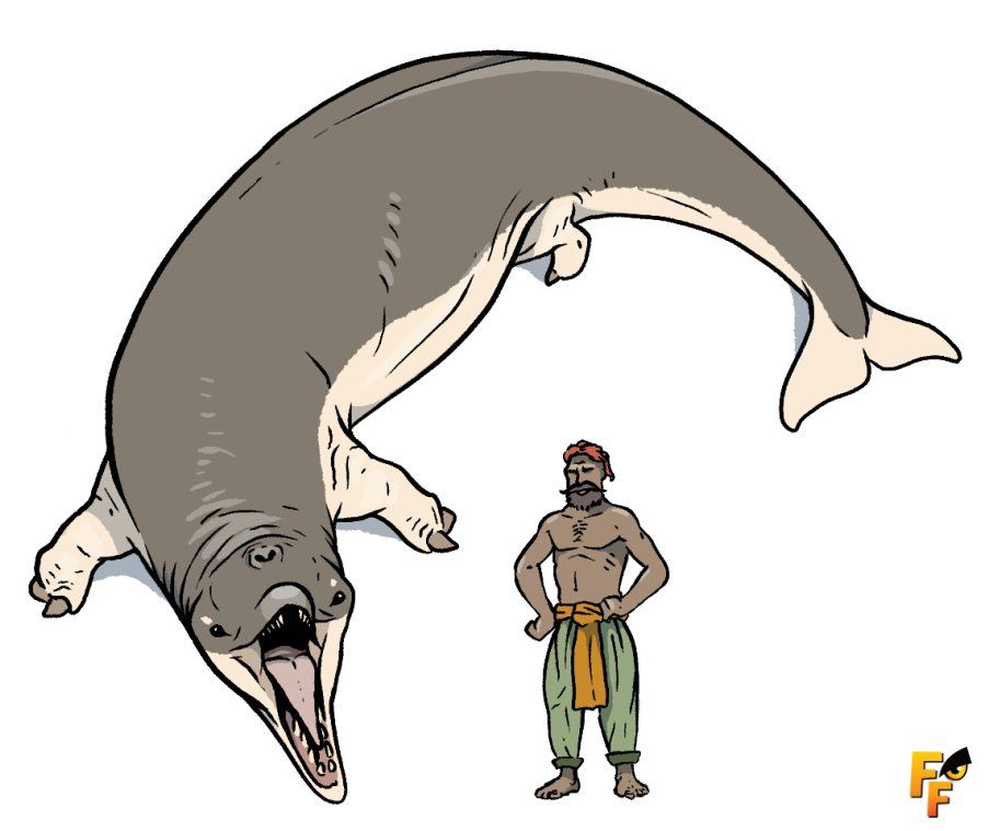 A dolbin is an animal derived from a dolphin bearing legs. Having developed in open water, the return to land has caused them to lose most of their fins.