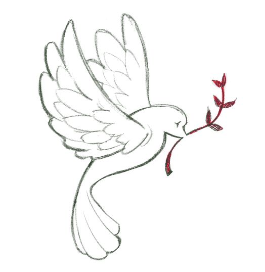 digital drawing of a dove