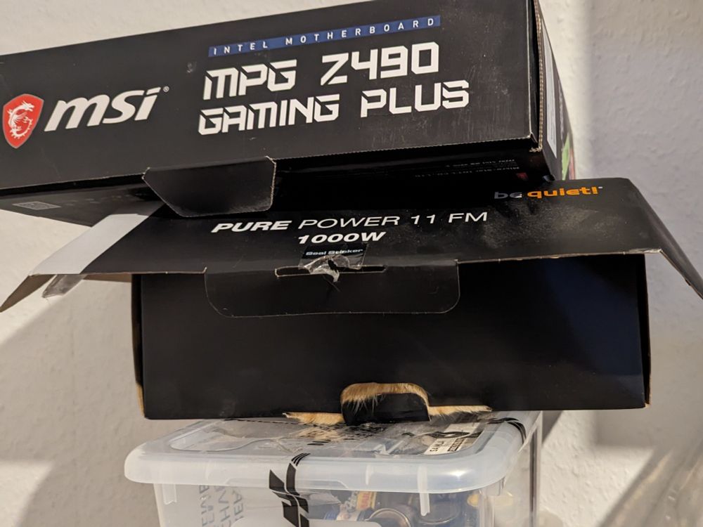 Eine Karton bei dem etwas Katzenfell raus schaut.