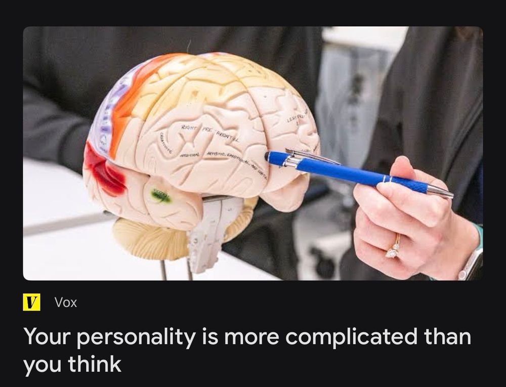 Photo of model of the brain with someone pointing at a lobe with their pen. Headline from Vox under it reads “Your personality is more complicated than you think.”