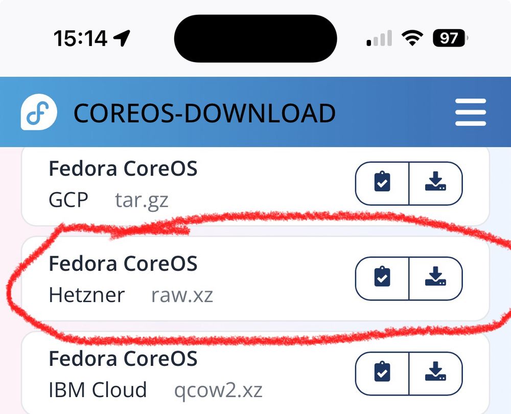 Download page showing Hetzner image as an option. 