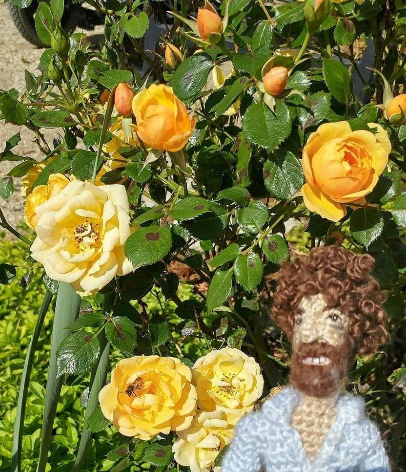 Crocheted Bob Ross stands in front of a yellow rose bush, one rose has a bee inside it