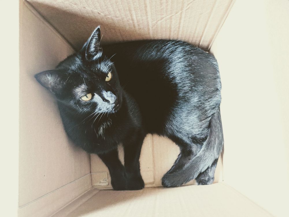 Aerial view of soot in a cardboard box