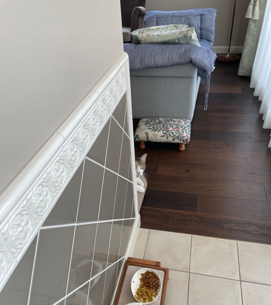 ダイニングルームからリビングルームを臨む写真。壁の向こう側の爪とぎのうえに寝ている猫の顔半分だけが見えている。