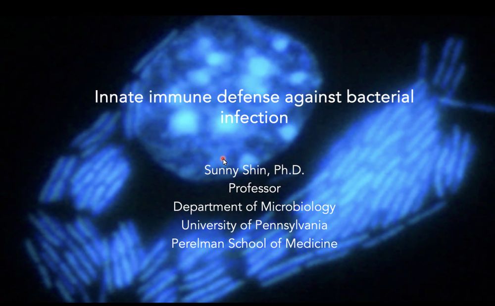 Slide of a macrophage infection with Legionella