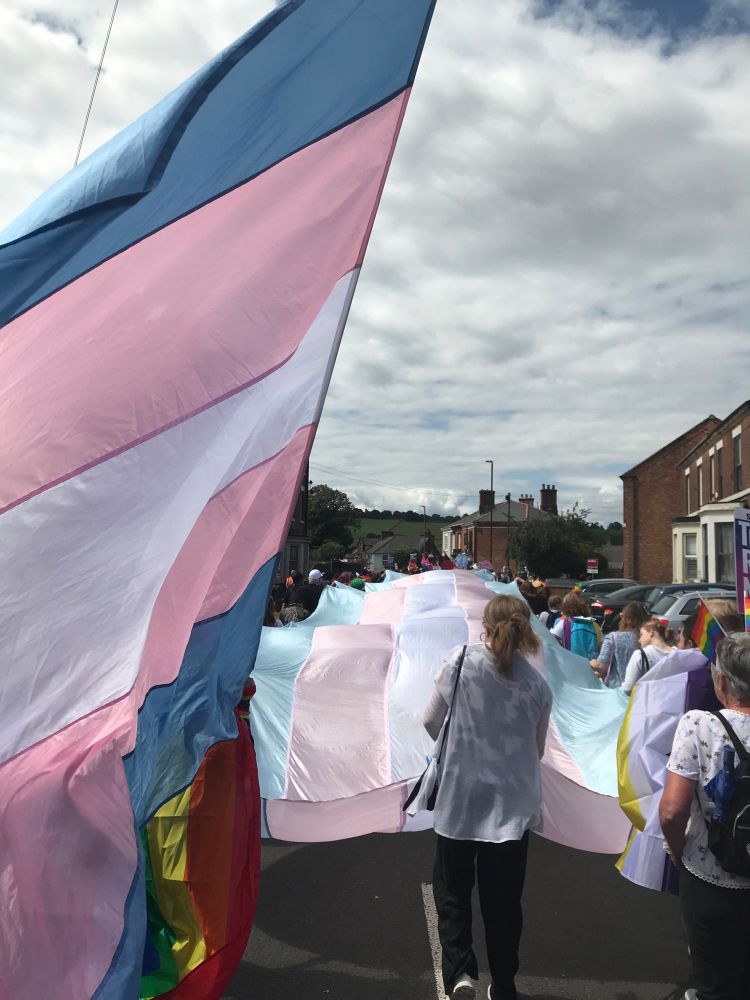A parade of people walking down a road with gigantic trans pride flags.