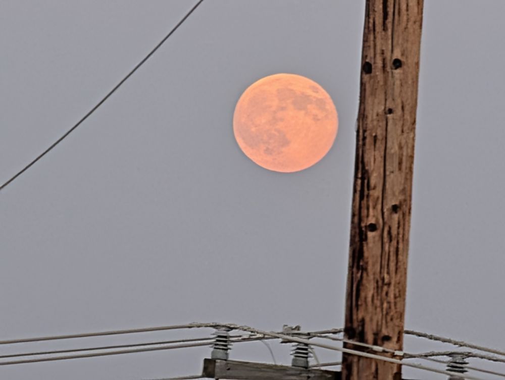 Pink full moon next to a telephone pole 