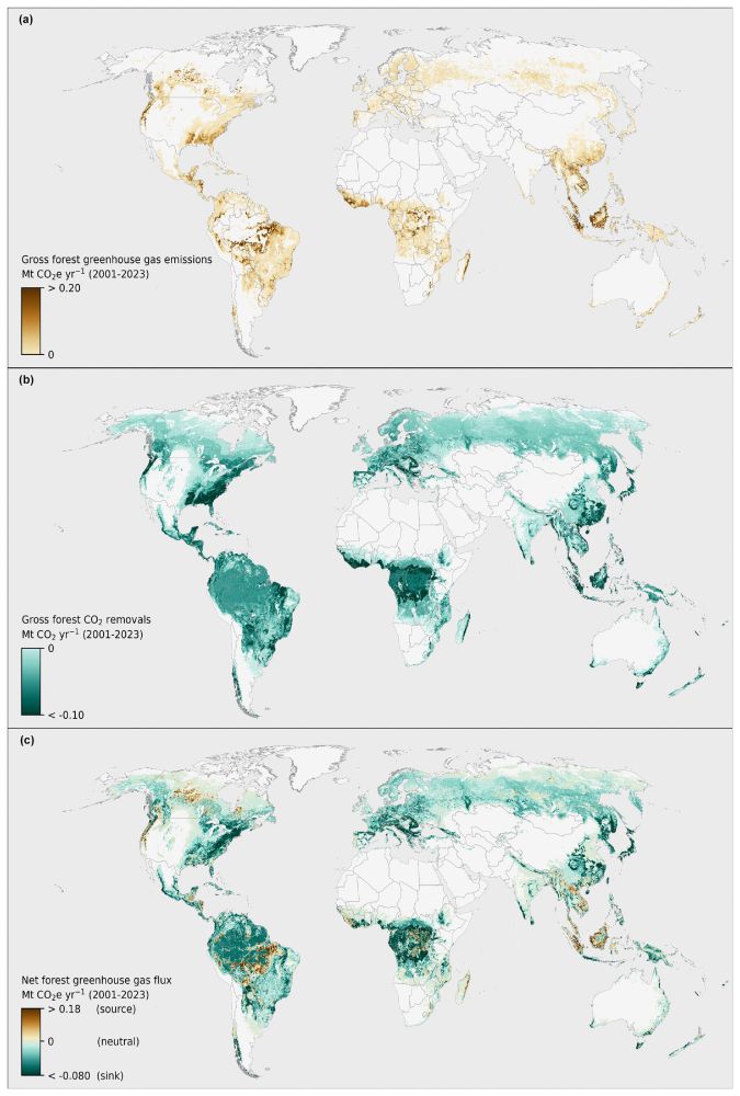 Figure 3 from the paper of Gibbs et al (2025) showing three maps respectively representing the amounts of greenhouse gas emmisions, removal, and net flux.

Caption from the paper: Forest-related GHG fluxes (annual average, 2001–2023). (a) Gross GHG emissions. (b) Gross CO2 removals. (c) Net GHG flux. Fluxes are aggregated to 0.04×0.04° (approximately 4×4 km) cells for display purposes. Publisher's remark: please note that the above figure contains disputed territories.

