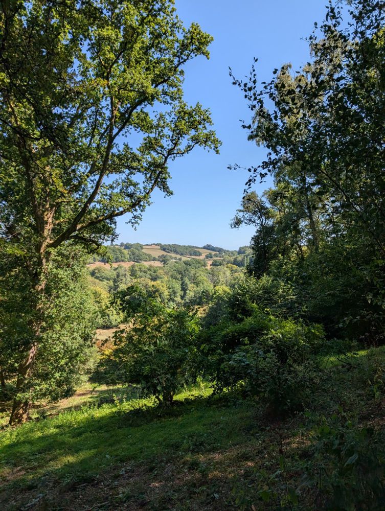 View of the Surrey Hills in Winkworth Arboretum 