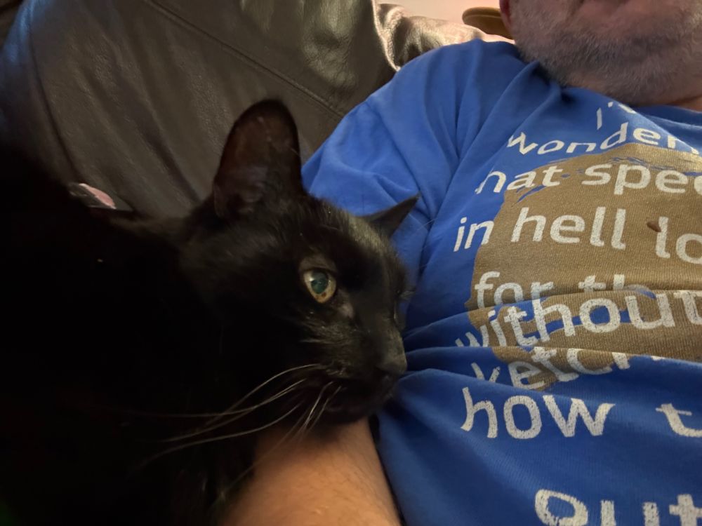 My black cat, with his head rested on my right arm. 