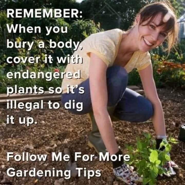 "REMEMBER: when you bury a body, cover it with endangered plants so it's illegal to dig it up.

Follow Me For More Gardening Tips"