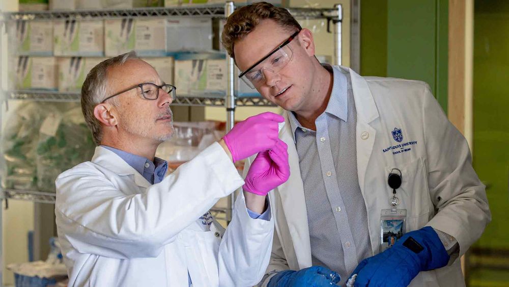 Two male researchers closely examine a specimen in a Saint Louis University lab.