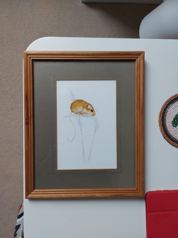 A watercolour mouse on pencil wheat, in a wooden frame with dark mount